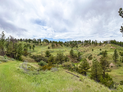 Missouri River Breaks Land with Landowner Preference - image 2
