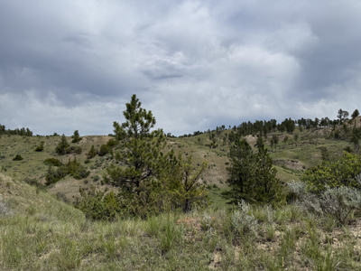 Missouri River Breaks Land with Landowner Preference - image 15