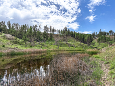 Missouri River Breaks Land with Landowner Preference - image 11