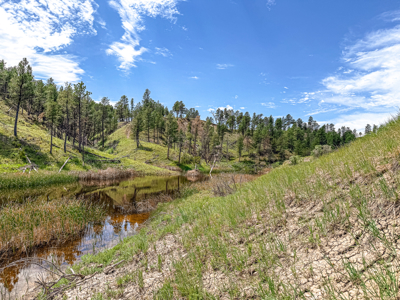 Missouri River Breaks Land with Landowner Preference - image 4