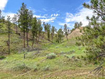 Missouri River Breaks Land with Landowner Preference - image 22