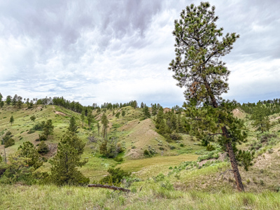 Missouri River Breaks Land with Landowner Preference - image 12