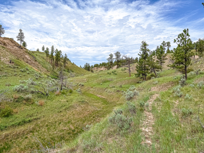 Missouri River Breaks Land with Landowner Preference - image 23