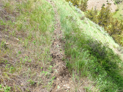 Missouri River Breaks Land with Landowner Preference - image 17