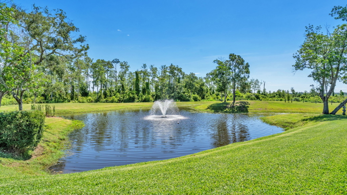Acreage,Country Home,Ranch,Farm,Home Business,Sebring Raceway