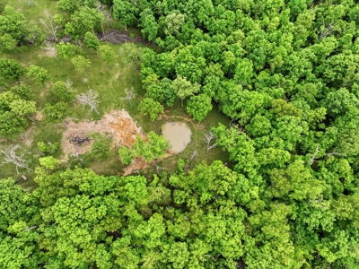 Income Producing Resort- 2 Homes and 5 Cabins Near Bull Shoal - image 5