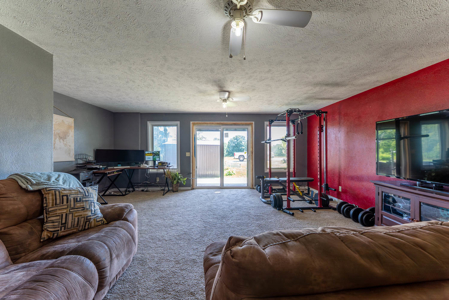Private Country Home on 2 Acres | Thayer, MO - image 30