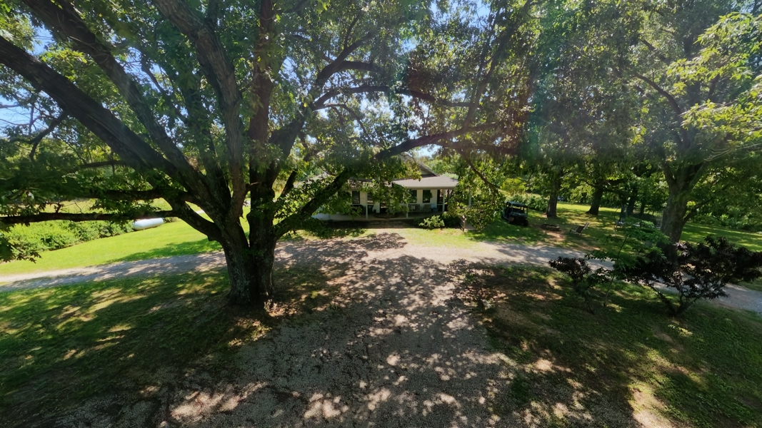 No Caption