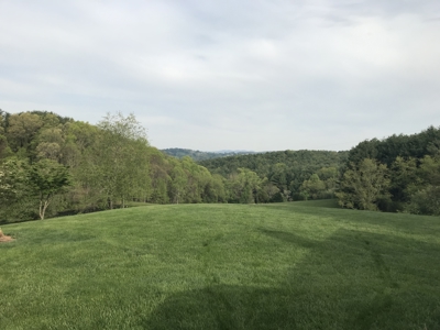 Custom Colonial Home for Sale in Galax VA - image 47