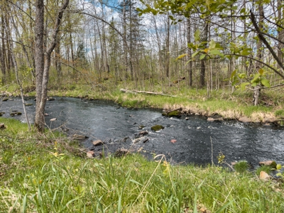 Home or Cabin on 8 Acres with Birch Creek Frontage - image 3
