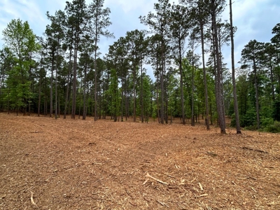 9.2 Acres of Private East Texas Land - image 5