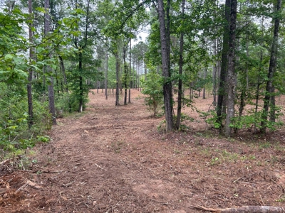 9.2 Acres of Private East Texas Land - image 3