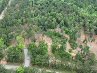 9.2 Acres of Private East Texas Land - image 8