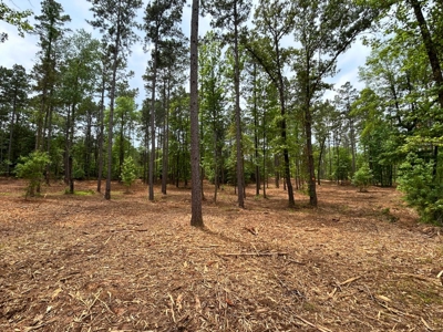 9.2 Acres of Private East Texas Land - image 2
