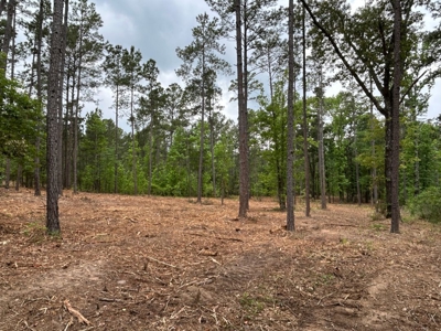 9.2 Acres of Private East Texas Land - image 6