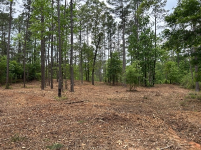 9.2 Acres of Private East Texas Land - image 4