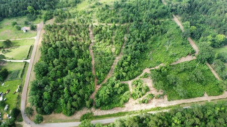 East Texas Land for Sale Near Tyler Texas in Smith County - image 4