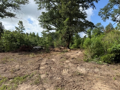 East Texas Land for Sale Near Tyler Texas in Smith County - image 28
