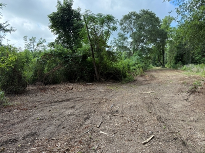 East Texas Land for Sale Near Tyler Texas in Smith County - image 15