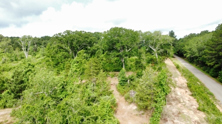 East Texas Land for Sale Near Tyler Texas in Smith County - image 21