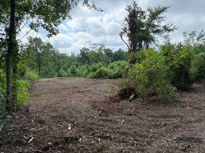 East Texas Land for Sale Near Tyler Texas in Smith County - image 14
