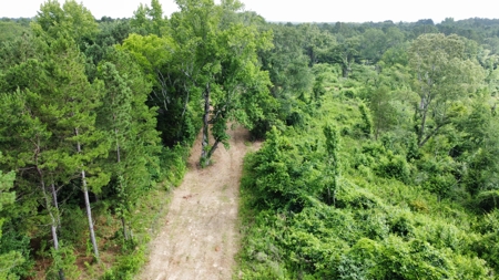 East Texas Land for Sale Near Tyler Texas in Smith County - image 16