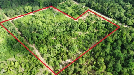 East Texas Land for Sale Near Tyler Texas in Smith County - image 9