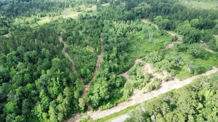 East Texas Land for Sale Near Tyler Texas in Smith County - image 10