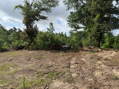East Texas Land for Sale Near Tyler Texas in Smith County - image 27
