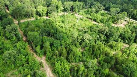 East Texas Land for Sale Near Tyler Texas in Smith County - image 24