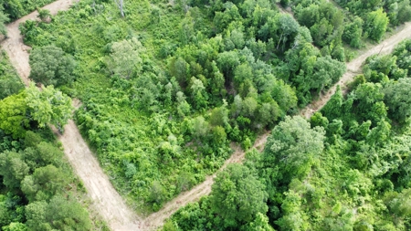 East Texas Land for Sale Near Tyler Texas in Smith County - image 13