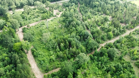 East Texas Land for Sale Near Tyler Texas in Smith County - image 6