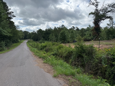 East Texas Land for Sale Near Tyler Texas in Smith County - image 3
