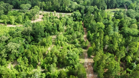 East Texas Land for Sale Near Tyler Texas in Smith County - image 23
