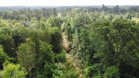 East Texas Land for Sale Near Tyler Texas in Smith County - image 17