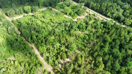 East Texas Land for Sale Near Tyler Texas in Smith County - image 8
