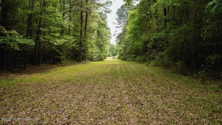 Paradise Whitetails in Oakdale, LA – 1,116± Acres - image 39