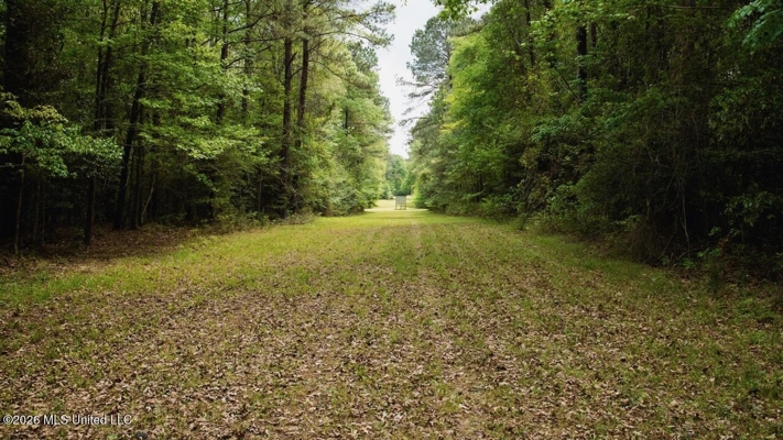 Paradise Whitetails in Oakdale, LA – 1,116± Acres