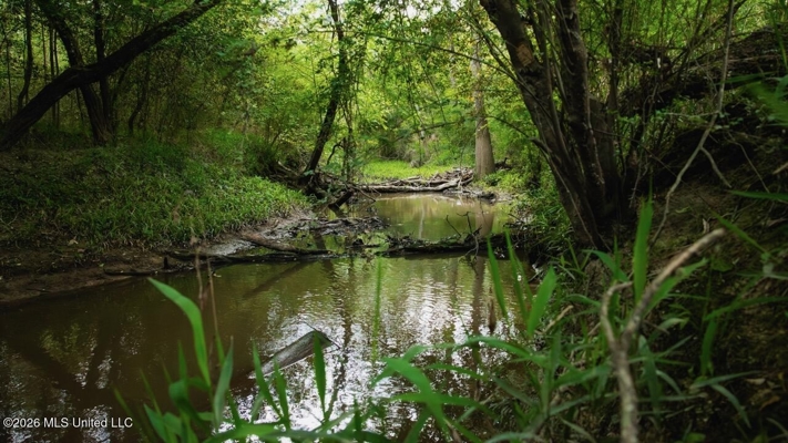 Paradise Whitetails in Oakdale, LA – 1,116± Acres