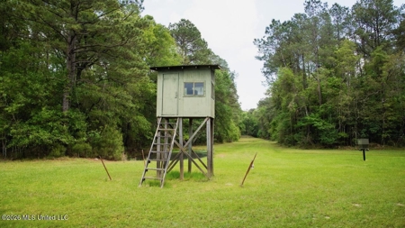 Paradise Whitetails in Oakdale, LA – 1,116± Acres - image 18