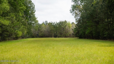 Paradise Whitetails in Oakdale, LA – 1,116± Acres - image 17