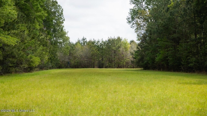 Paradise Whitetails in Oakdale, LA – 1,116± Acres
