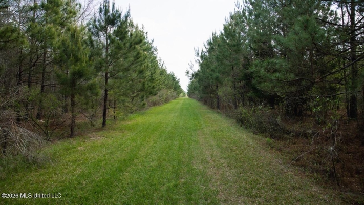 Paradise Whitetails in Oakdale, LA – 1,116± Acres