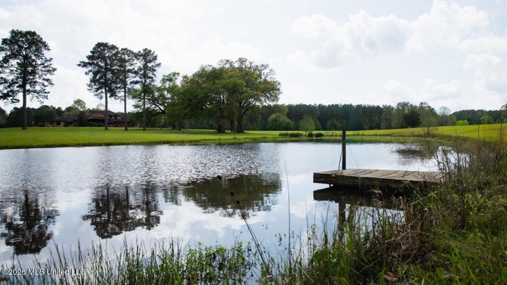 Paradise Whitetails in Oakdale, LA – 1,116± Acres