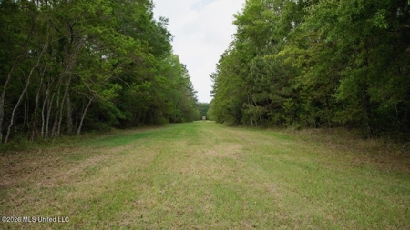 Paradise Whitetails in Oakdale, LA – 1,116± Acres - image 20