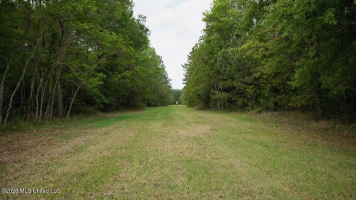 Paradise Whitetails in Oakdale, LA – 1,116± Acres