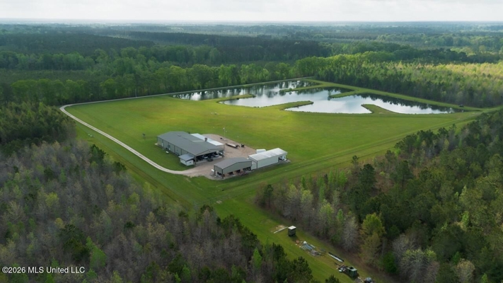 Paradise Whitetails in Oakdale, LA – 1,116± Acres
