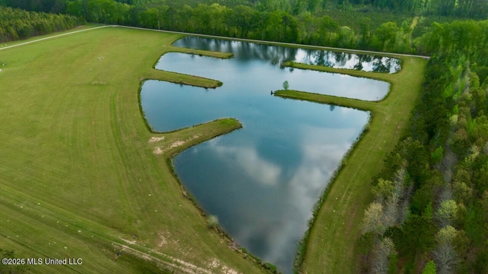 Paradise Whitetails in Oakdale, LA – 1,116± Acres
