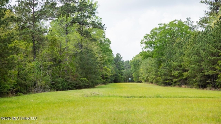 Paradise Whitetails in Oakdale, LA – 1,116± Acres