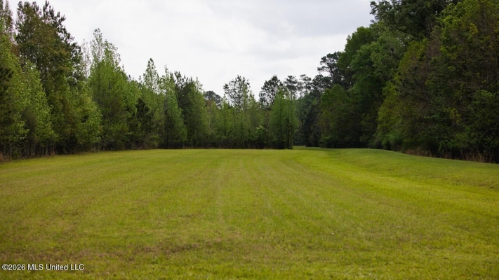 Paradise Whitetails in Oakdale, LA – 1,116± Acres